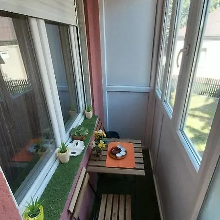 Cozy In Center Kragujevac