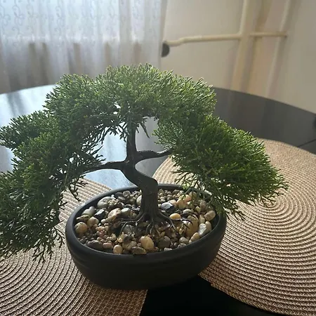 Cozy In Center דירה קרגיובאק