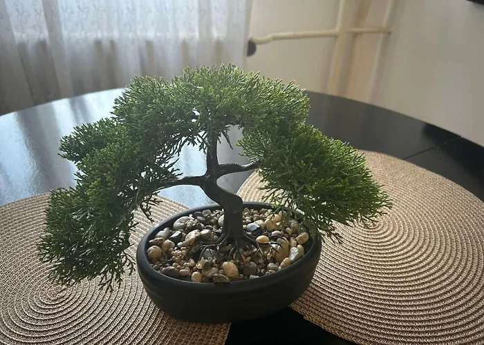 Cozy In Center شقة كراغوييفاك